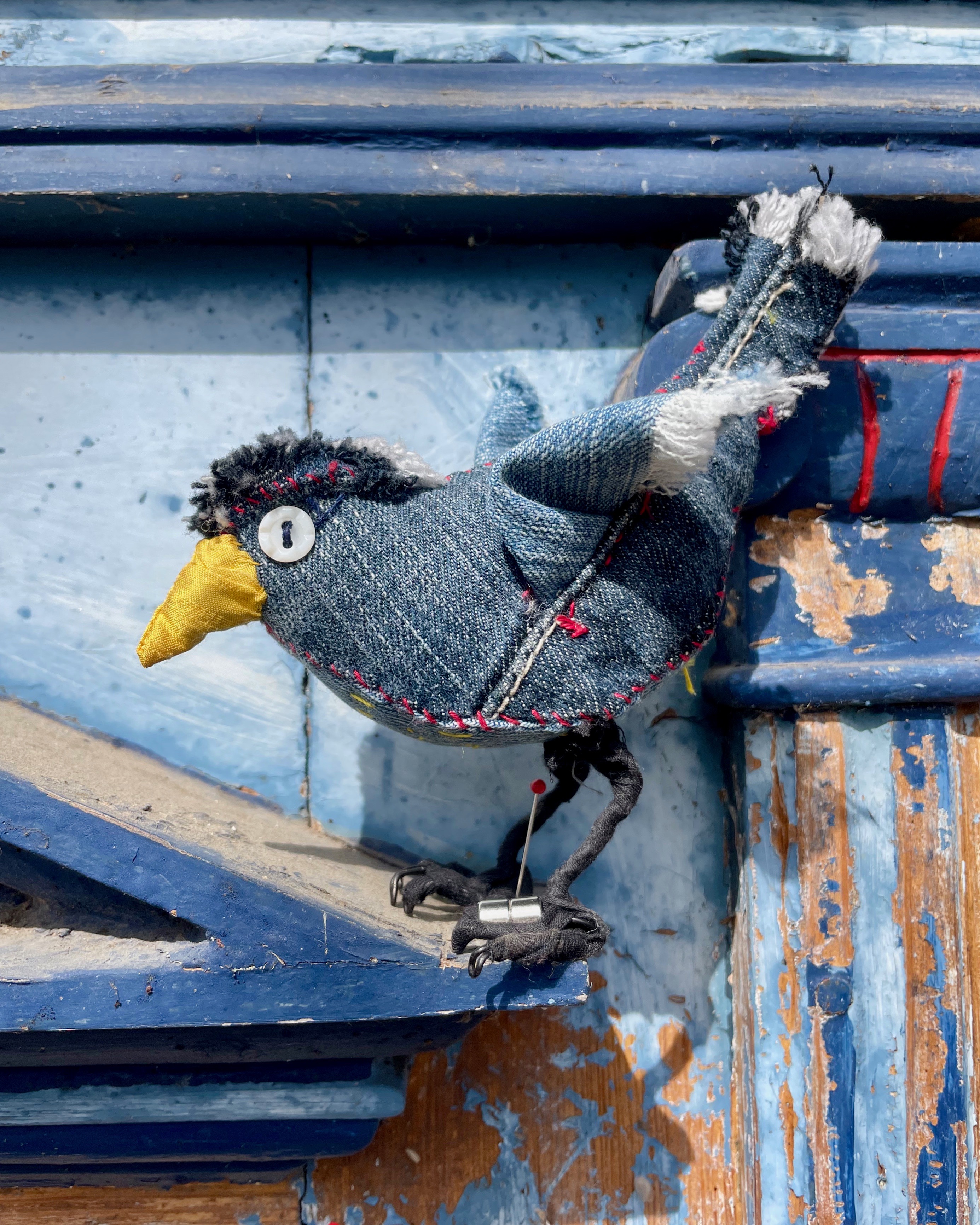 Jeans Vogel